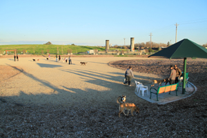 East Sacramento’s new dog park is ‘ruff’ place | Valley Community